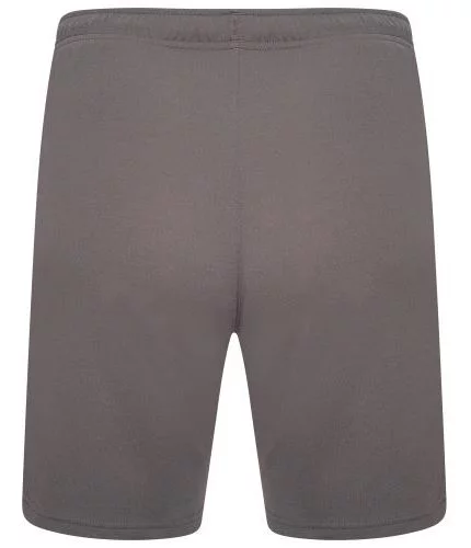 Шорти Puma teamRISE Short сірий Чол L