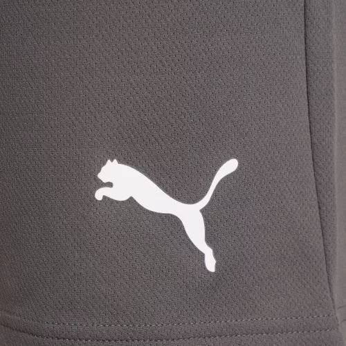 Шорти Puma teamRISE Short сірий Чол L
