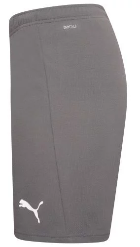 Шорти Puma teamRISE Short сірий Чол L