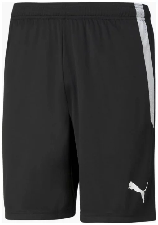Спортивні шорти Puma teamLIGA Shorts чорний Чол S
