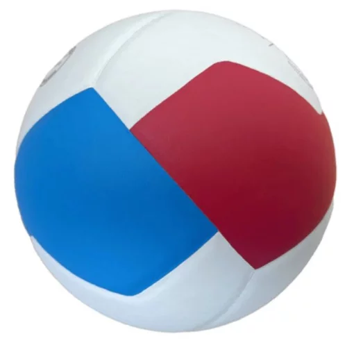 М'яч волейбольний Gala Pro-Line BV5576S