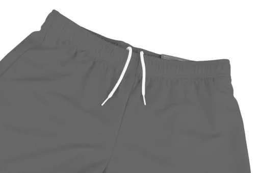Шорти Puma teamRISE Short сірий Чол S
