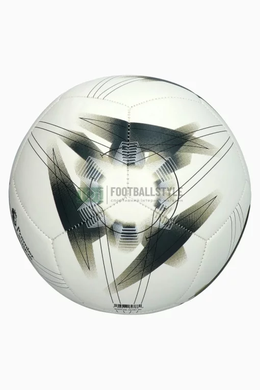Футбольний м'яч Nike Premier League Pitch FB2987-106 розмір 5