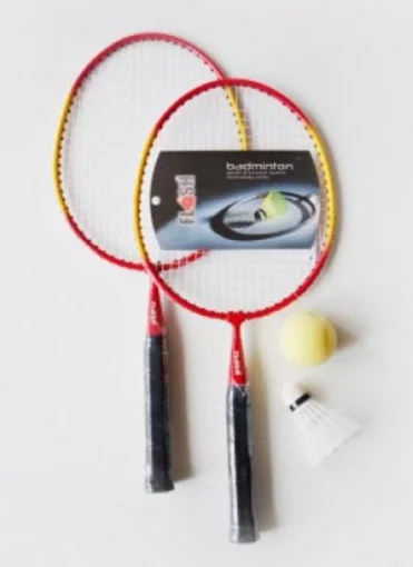 Набір міні для бадмінтону FLASH Set MB-125 (2ракетки+2волана+ 2 м'яча+чохол прозорий) (MB-125)