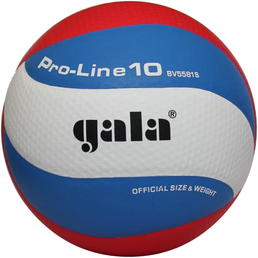 М'яч волейбольний Gala Pro-Line 10 BV5581S