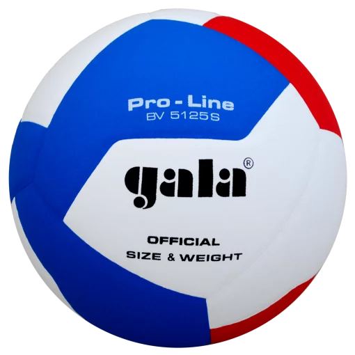 М'яч волейбольний Gala Pro-Line BV5125S