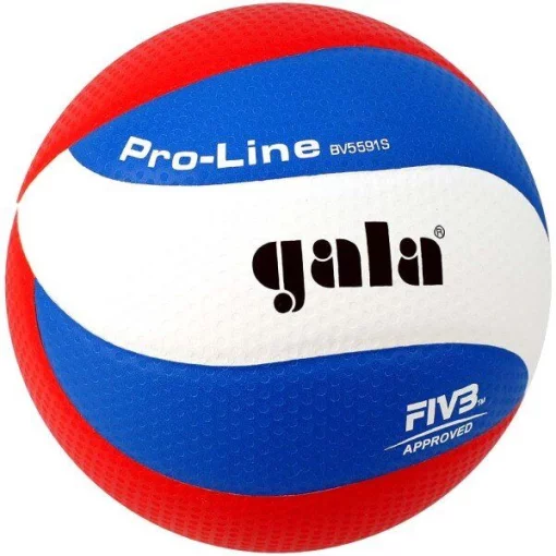 М'яч волейбольний Gala Pro-Line FIVB BV5591S