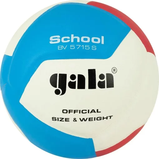 М'яч волейбольний Gala School 12 BV5715S