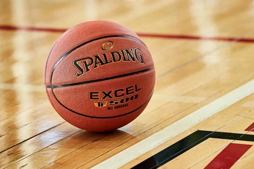 М'яч баскетбольний Spalding Excel TF-500 In/Out Ball 76797Z №7