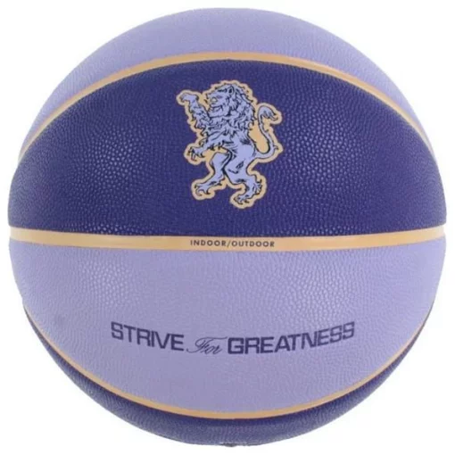 М'яч баскетбольний Nike ALL COURT 2.0 8P L JAMES DEFLATED фіолетовий Уні 7