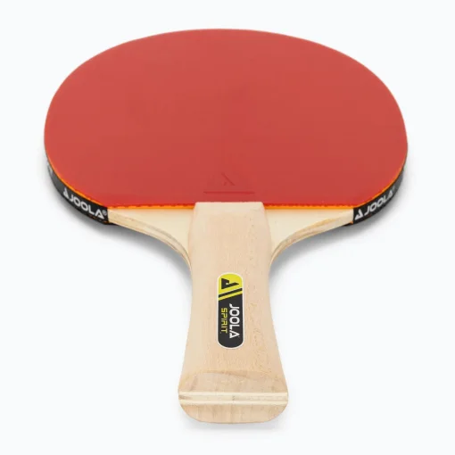 Набір для настільного тенісу JOOLA Family Set (4 ракетки+10 м'ячів+1чохол)