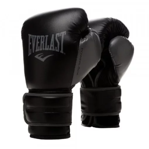 Боксерські рукавиці Everlast POWERLOCK 2R TRAINING GLOVE чорний Уні 10 унцій