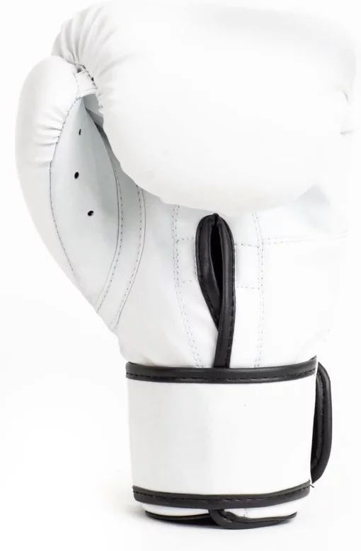 Боксерські рукавиці Everlast CORE 2 TRAINING GLOVE білий L/XL (P00002326)