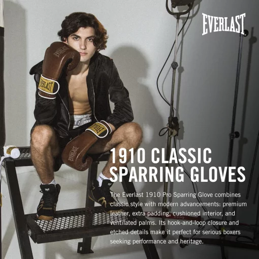 Боксерські рукавиці Everlast 1910 CLASSIC TRAINING GLOVE коричневий 16 унцій (P00002503)