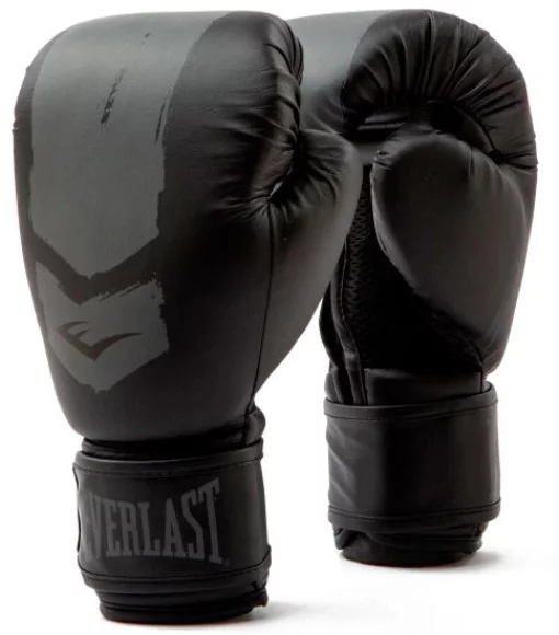 Боксерські рукавиці Everlast PROSPECT 2 BOXING GLOVE чорний, сірий Уні 6 унцій
