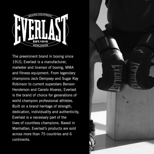 Боксерські рукавиці Everlast PROSTYLE 2 BOXING GLOVE червоний Уні 12 унцій