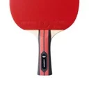 Ракетка для настільного тенісу BUTTERFLY Champion 11135