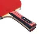 Ракетка для настільного тенісу BUTTERFLY Champion 11135