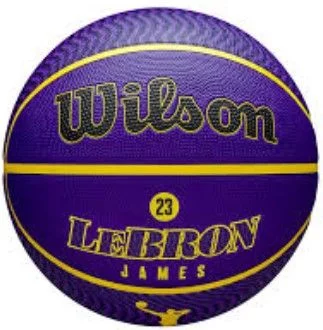 М'яч баскетбольний Wilson NBA PLAYER ICON OUTDOOR BSKT LEBRON NE 7